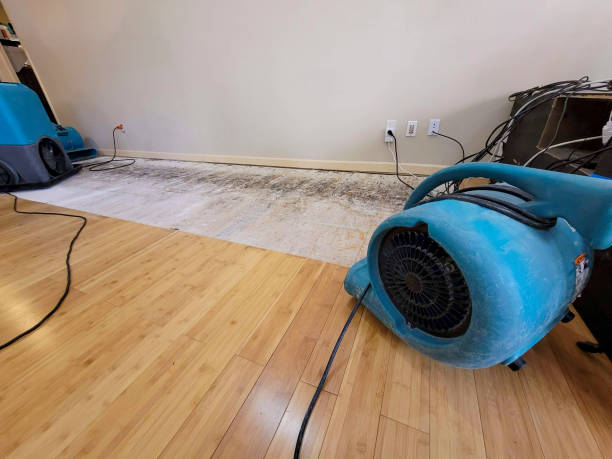 Professional Sewage Cleanup technician working in White Lake, MI